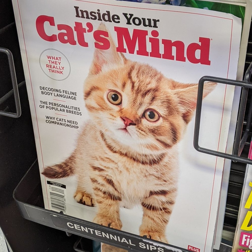 Meet your Posher, R. - Picture 7 of 11